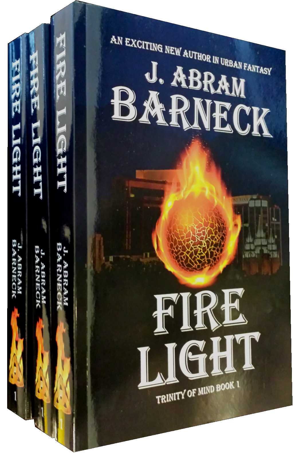 Fire Light in Paperback